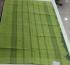 SAREES SALEM 80S WITH BLOUSE